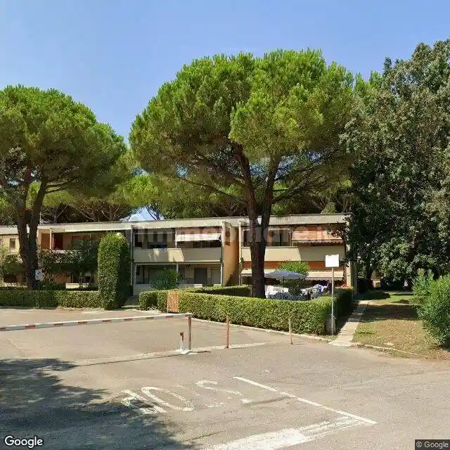Appartamento in vendita a Bibbona