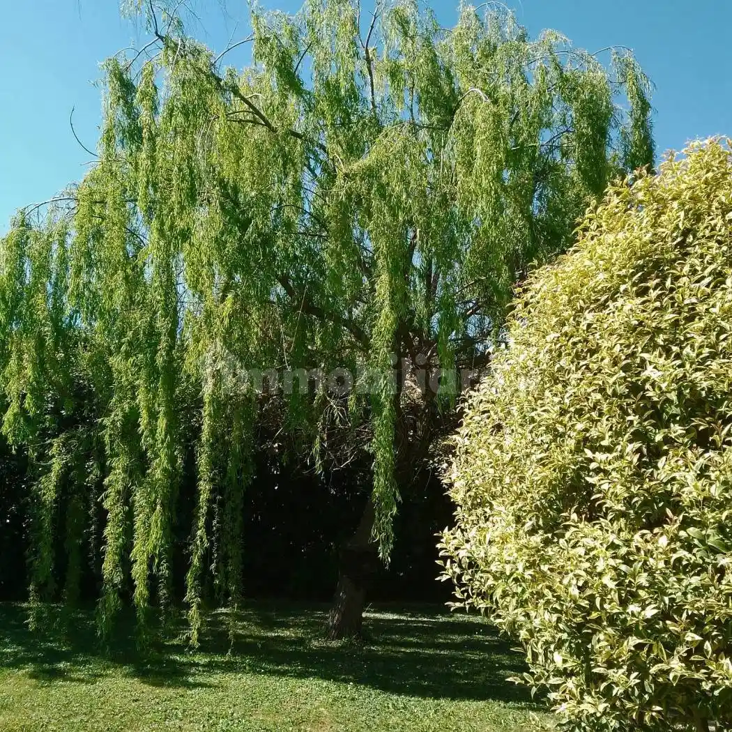 Villa in vendita a Parma