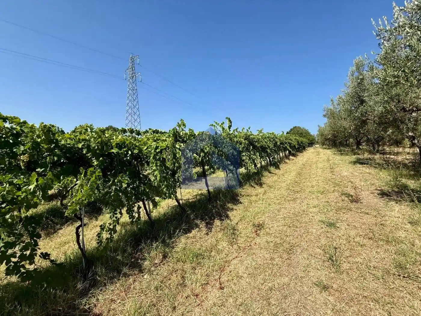 Rustico - Casale in vendita a Casalbordino