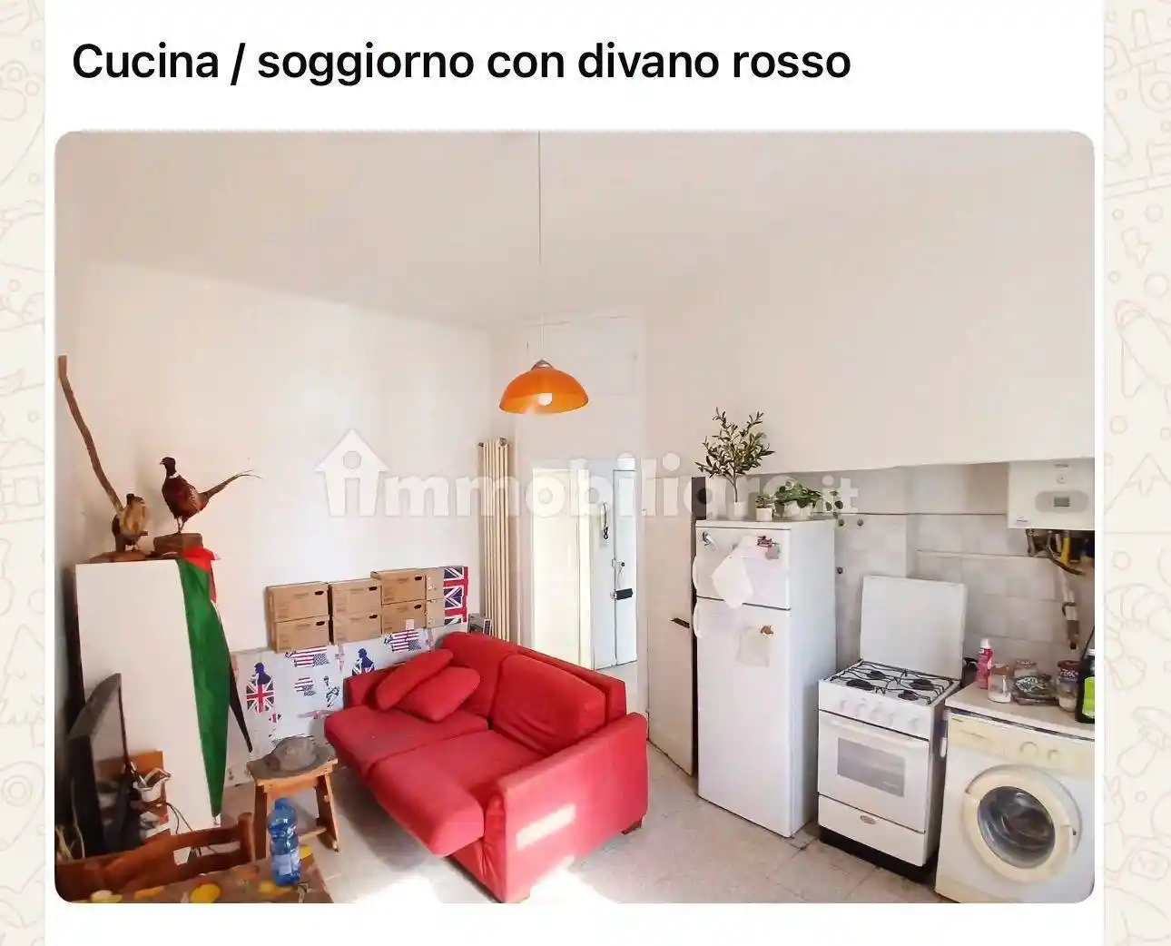 Appartamento in affitto a Bologna