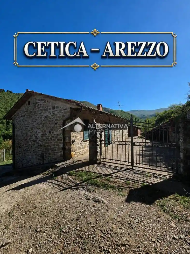 Casa indipendente in vendita a Castel San Niccolò