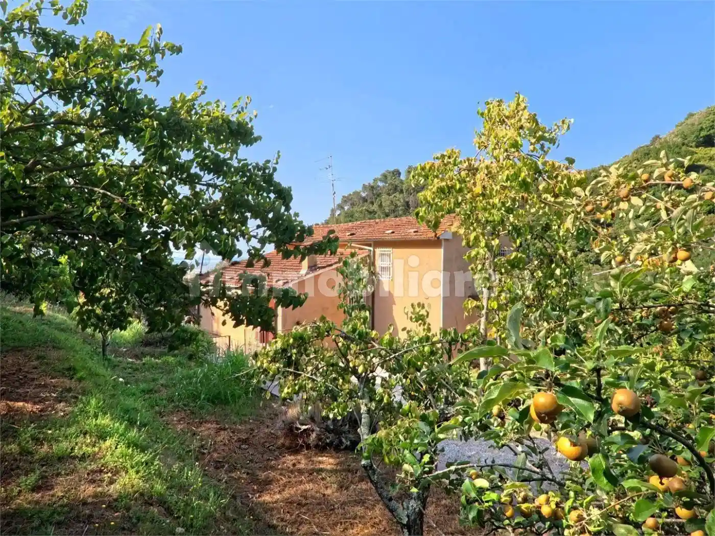 Casa indipendente in vendita a Pietrasanta