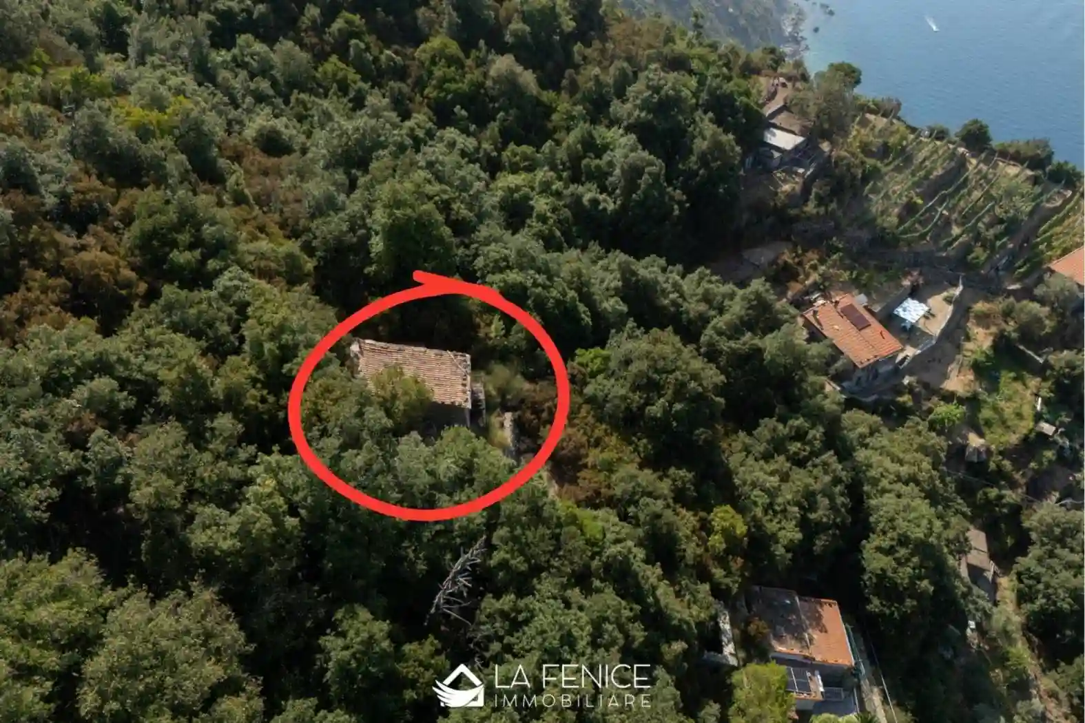 Rustico - Casale - foto 5