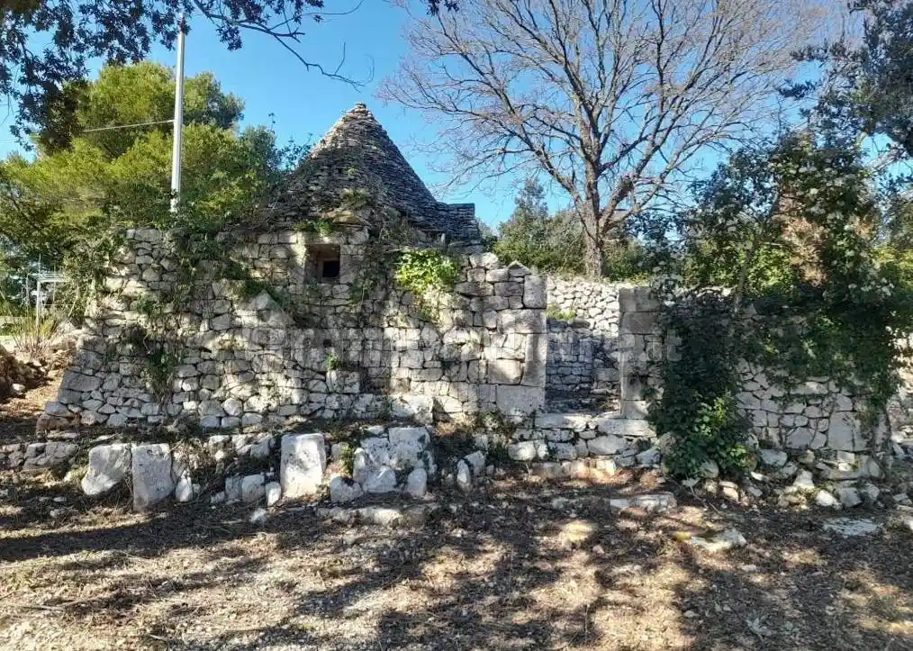 Rustico - Casale in vendita a Locorotondo