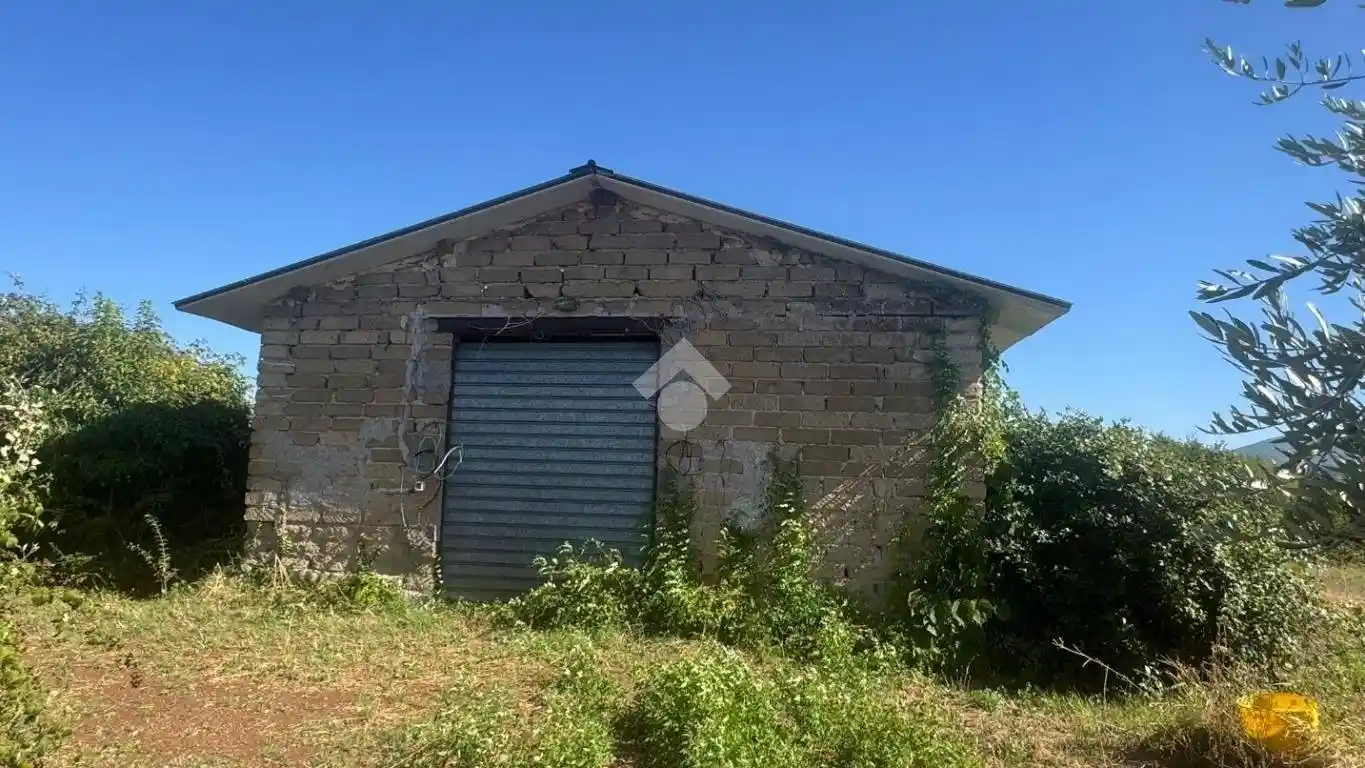 Rustico - Casale in vendita a Zagarolo