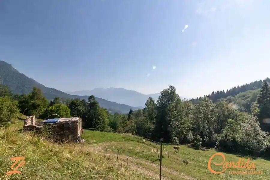 Rustico - Casale in vendita a Socchieve