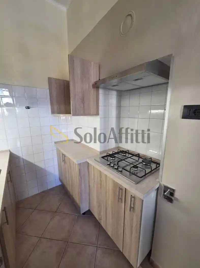 Appartamento in affitto a Torino