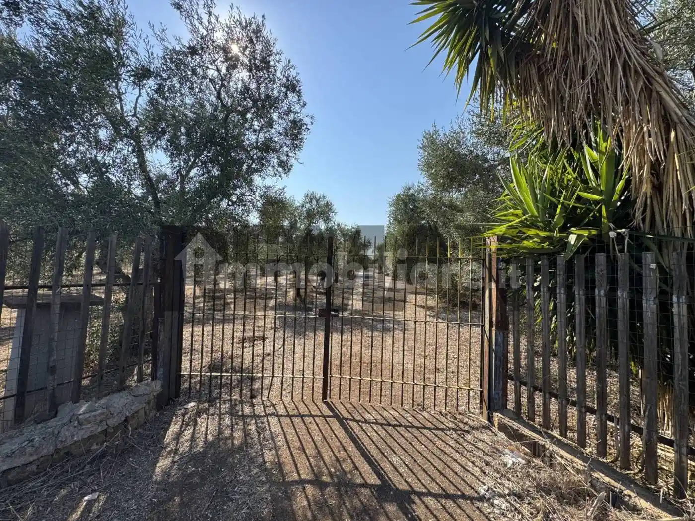 Villa in vendita a Bitonto