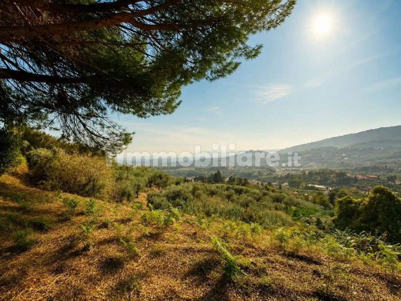Rustico - Casale in vendita a Massa e Cozzile