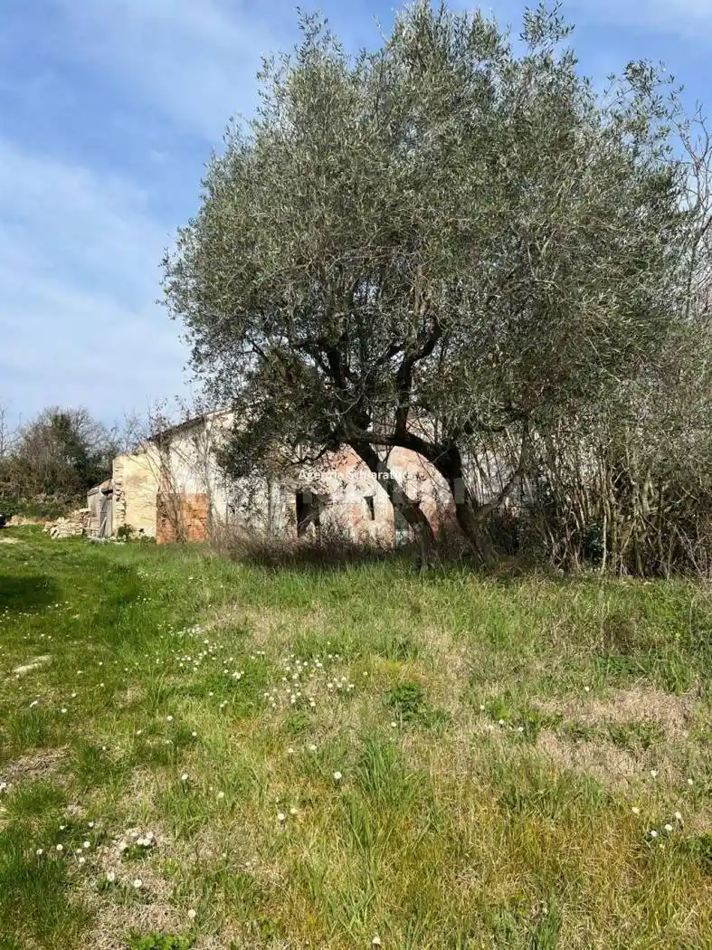 Rustico - Casale in vendita a Montegridolfo