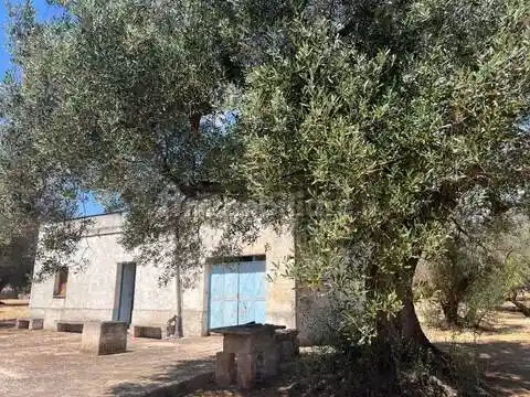 Rustico - Casale in vendita a Martina Franca