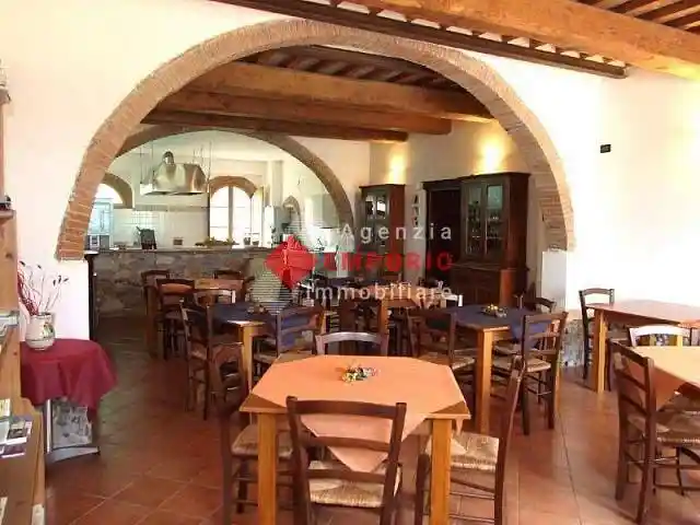 Rustico - Casale in vendita a Vicopisano