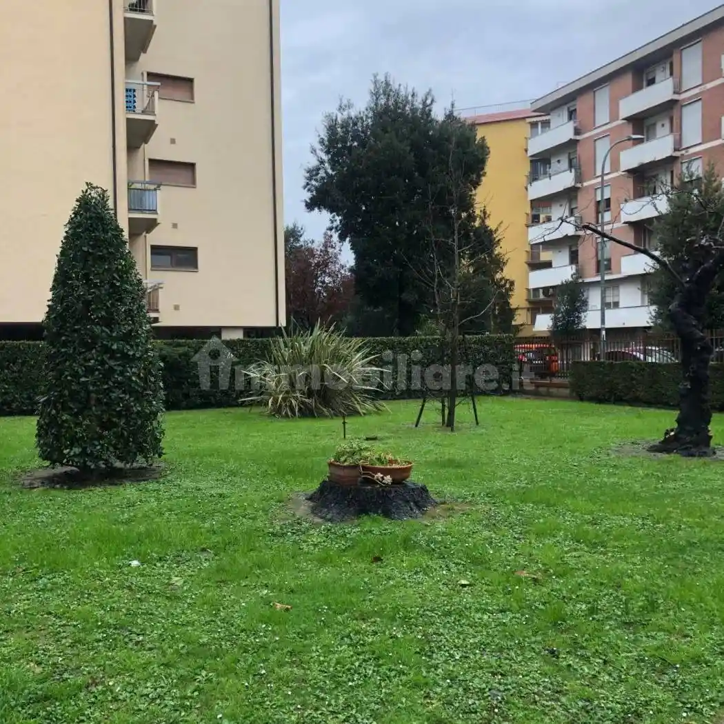 Appartamento in affitto a Pisa