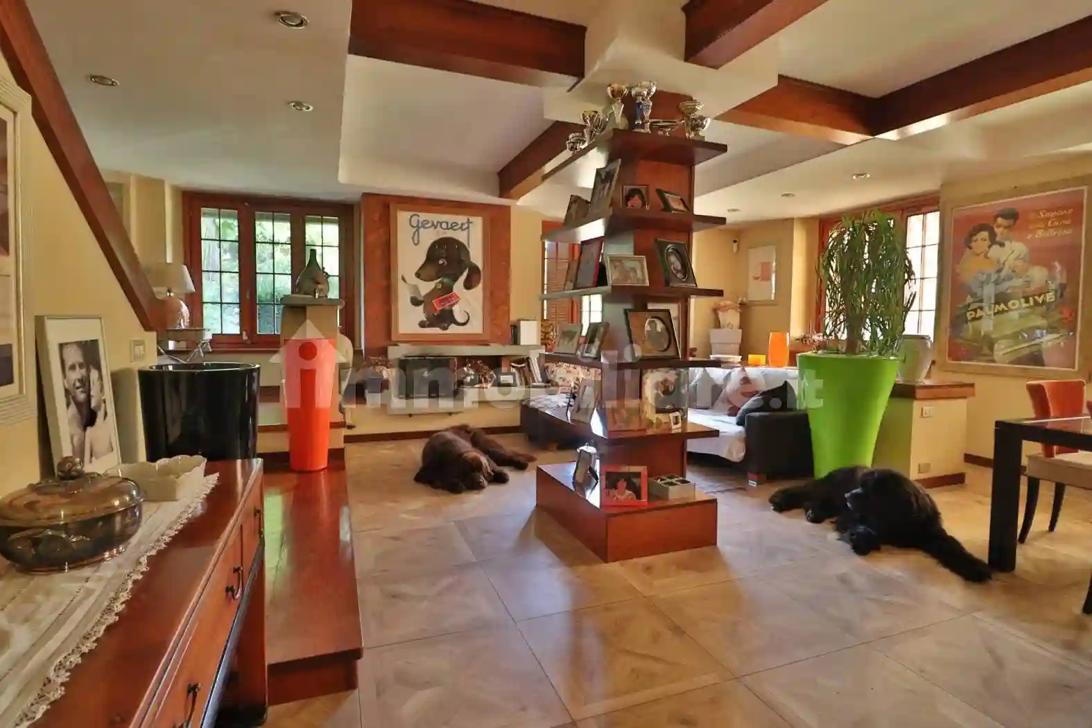 Villa - foto 2
