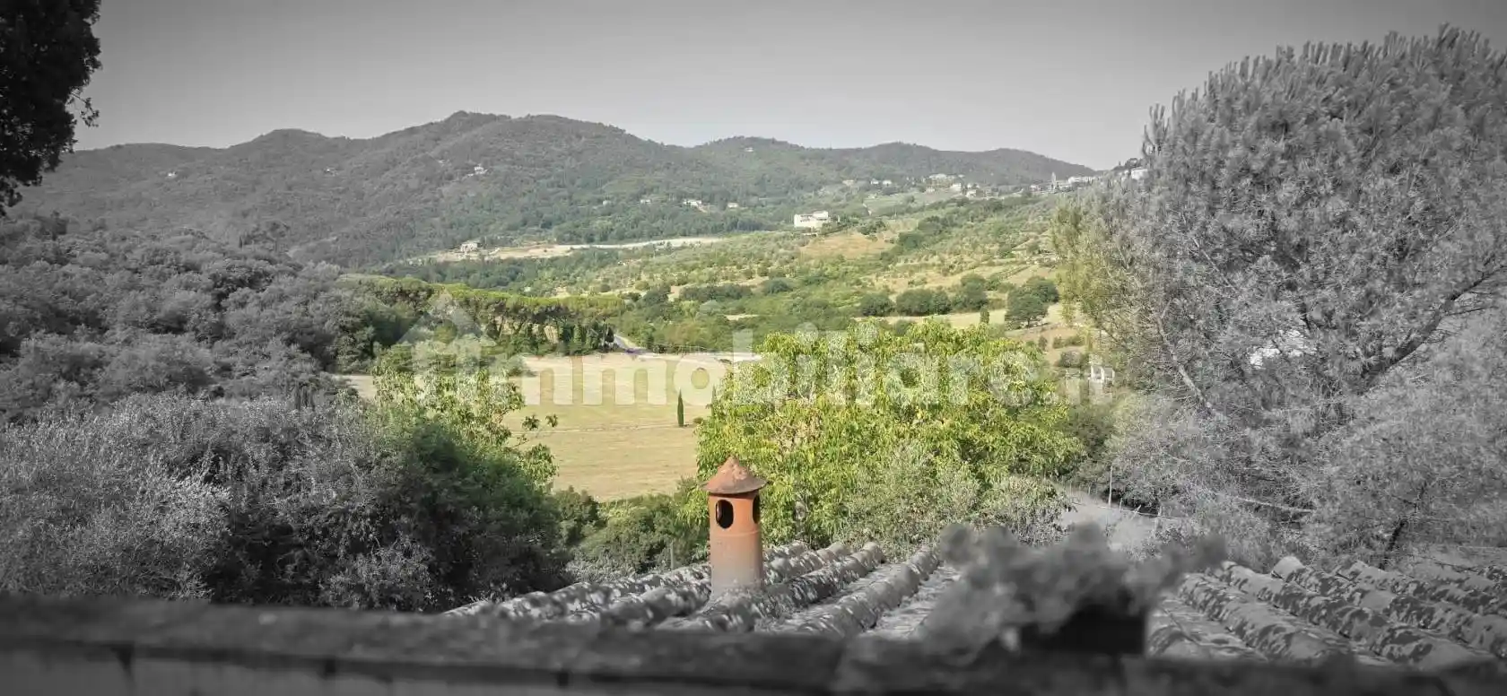 Rustico - Casale in vendita a Rignano sull'Arno