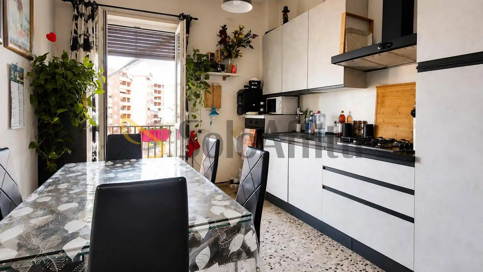 Appartamento in affitto a Torino