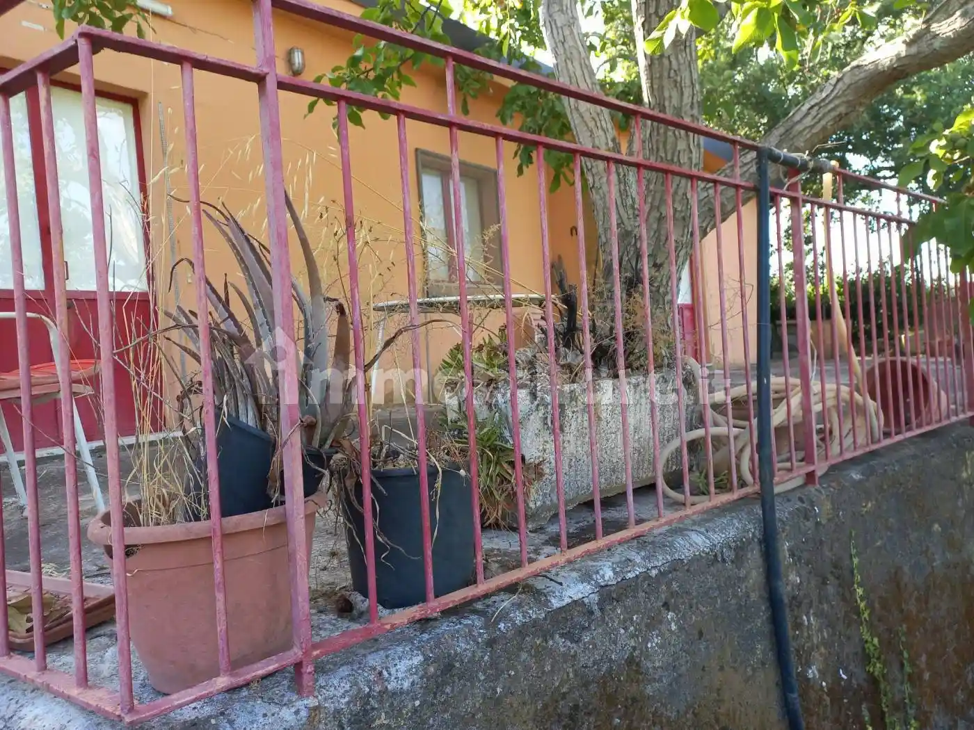 Rustico - Casale in vendita a Piedimonte Etneo