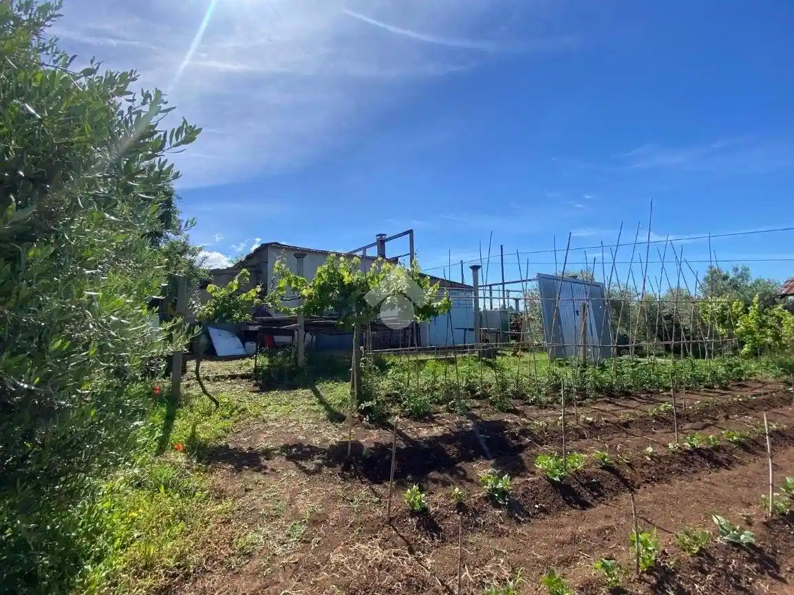 Rustico - Casale in vendita a Palestrina