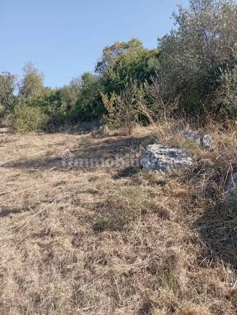 Rustico - Casale in vendita a Anagni