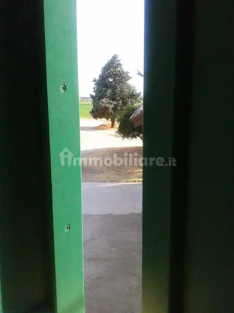 Casa indipendente in affitto a Monticelli d'Ongina