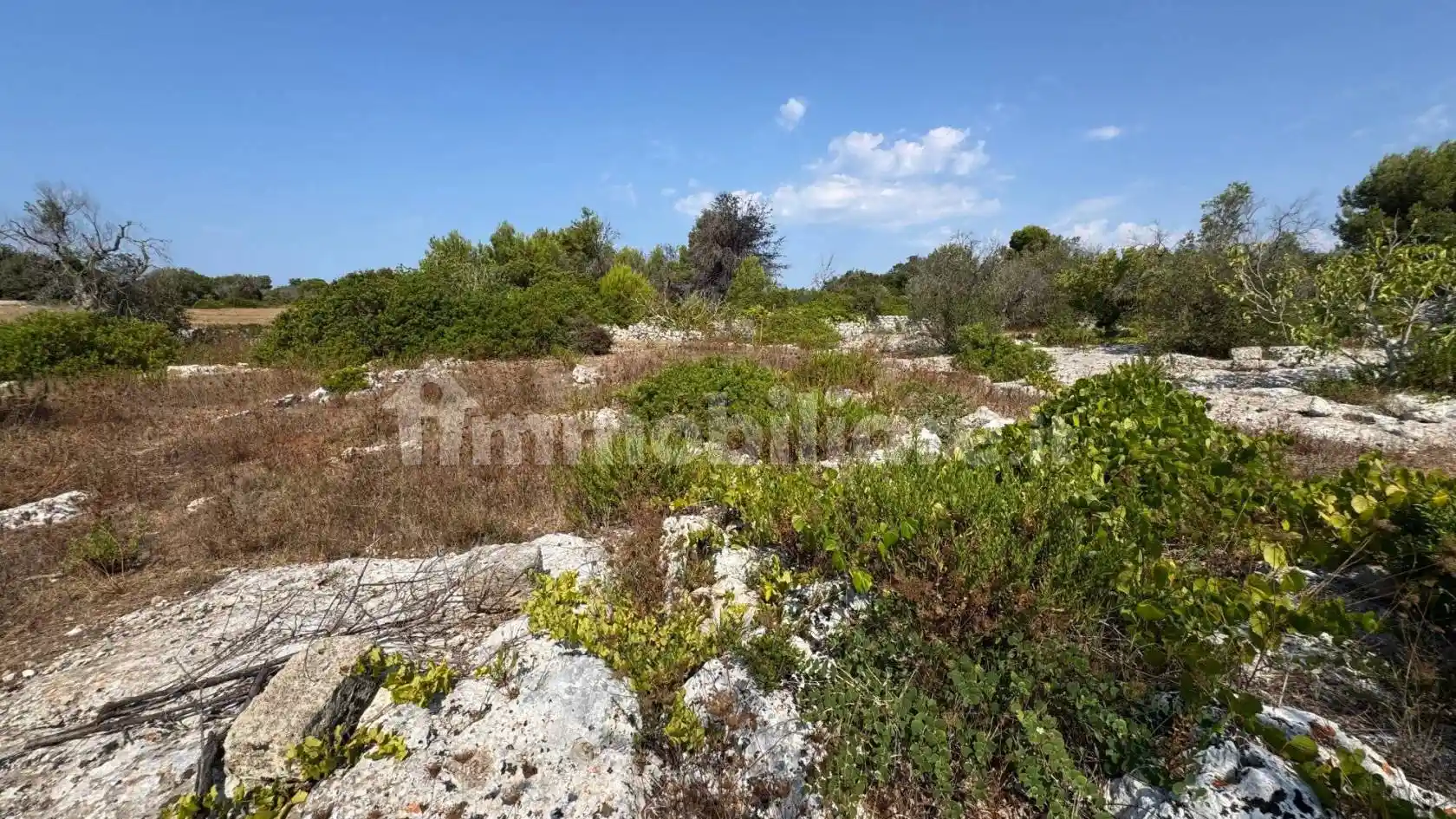 Villa in vendita a Morciano di Leuca