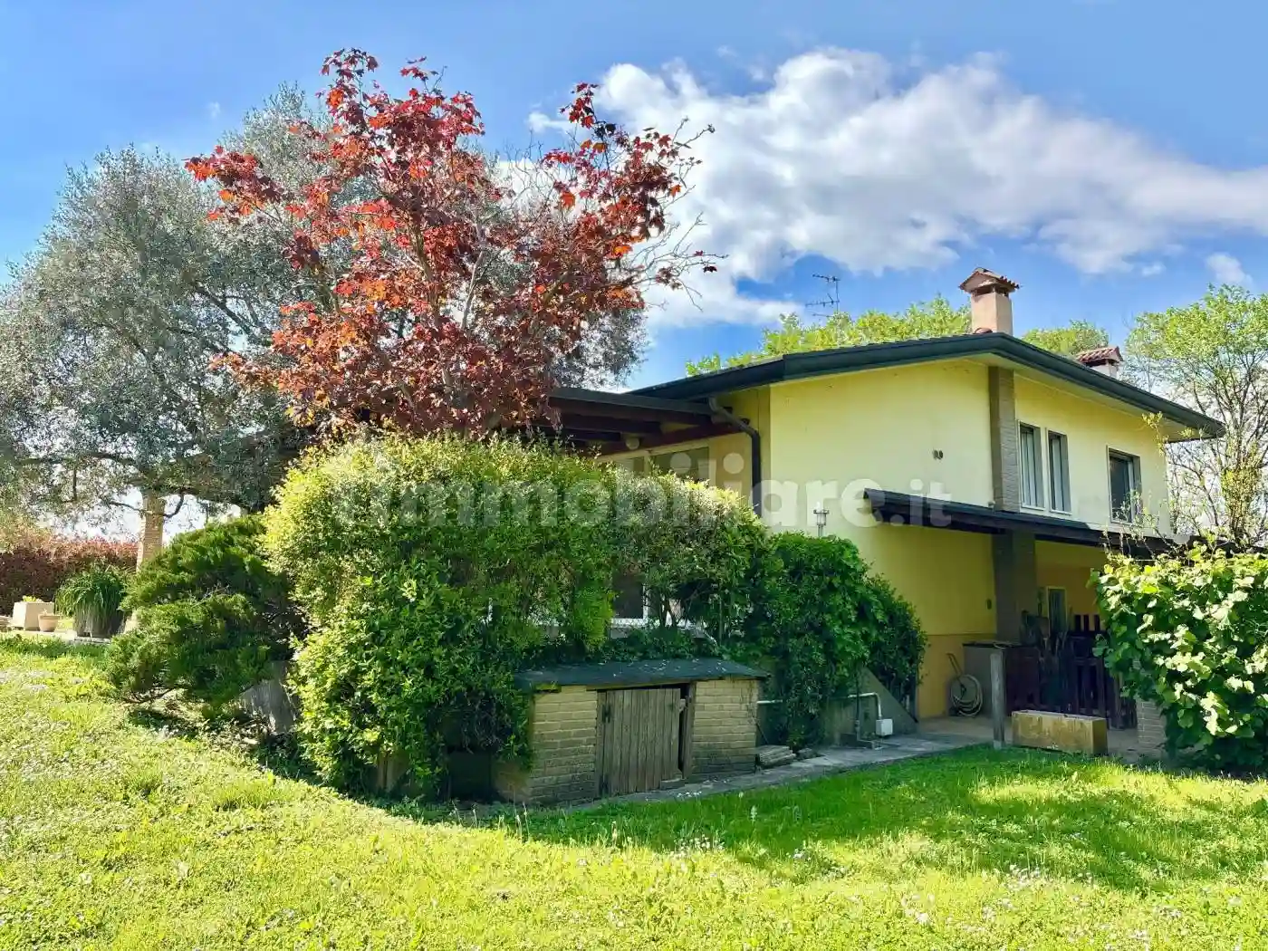 Rustico - Casale - foto 3