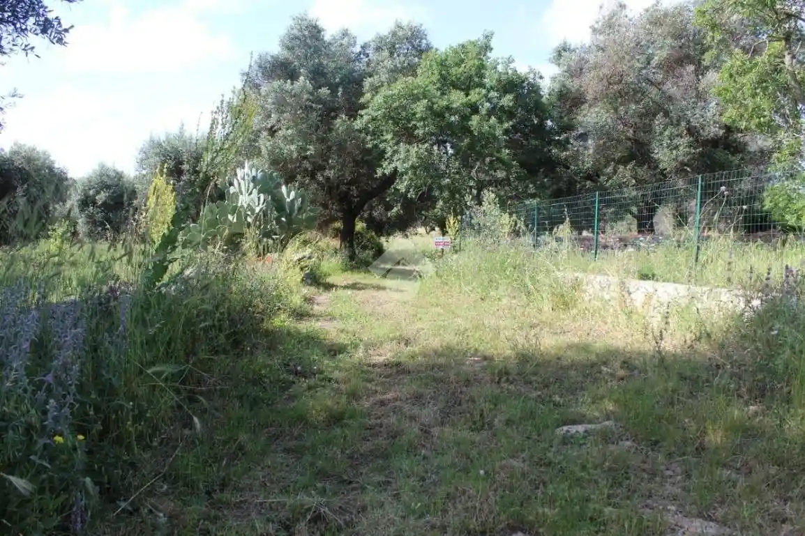 Rustico - Casale in vendita a Carovigno