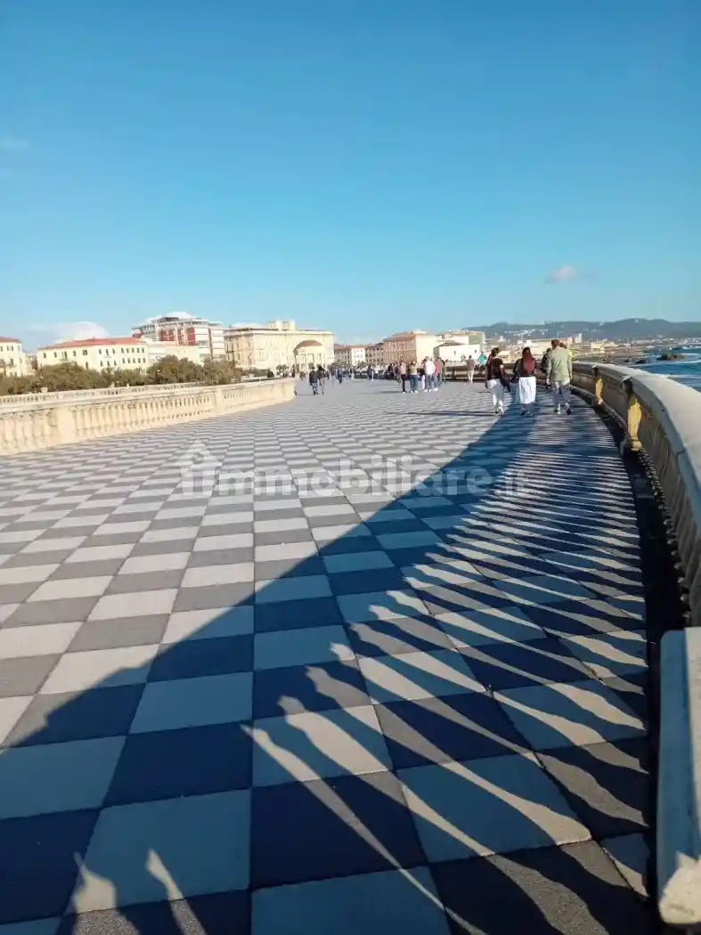 Appartamento in affitto a Livorno