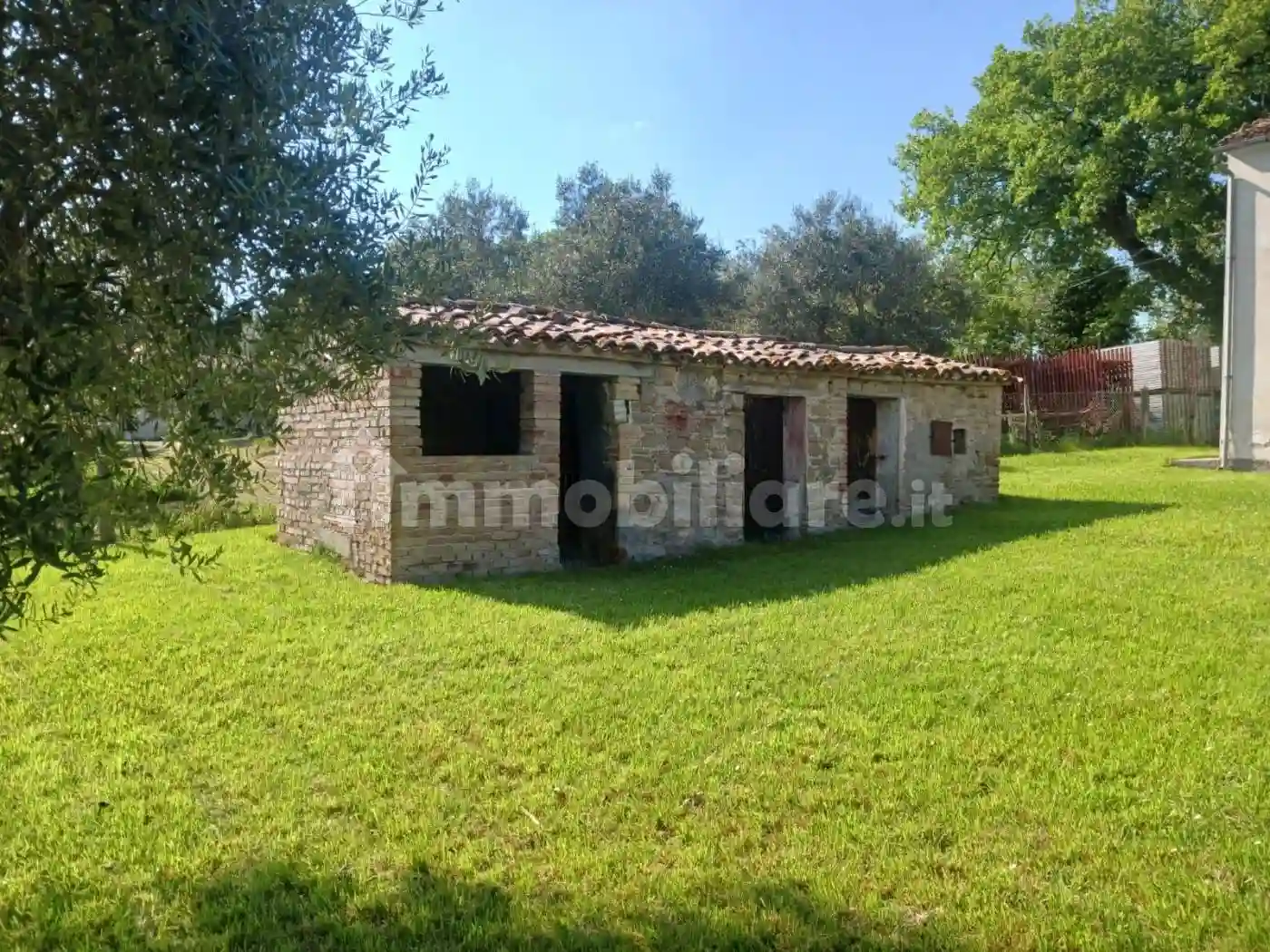 Rustico - Casale - foto 5