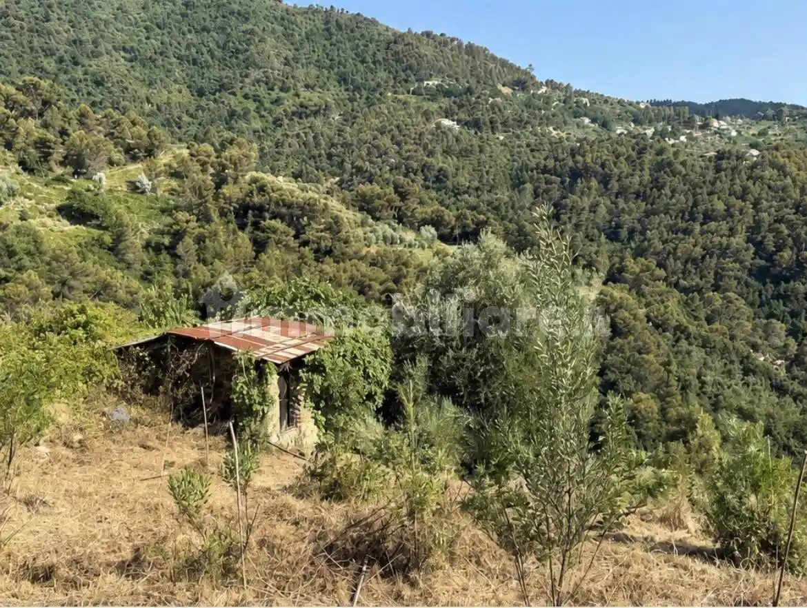 Rustico - Casale in vendita a Perinaldo