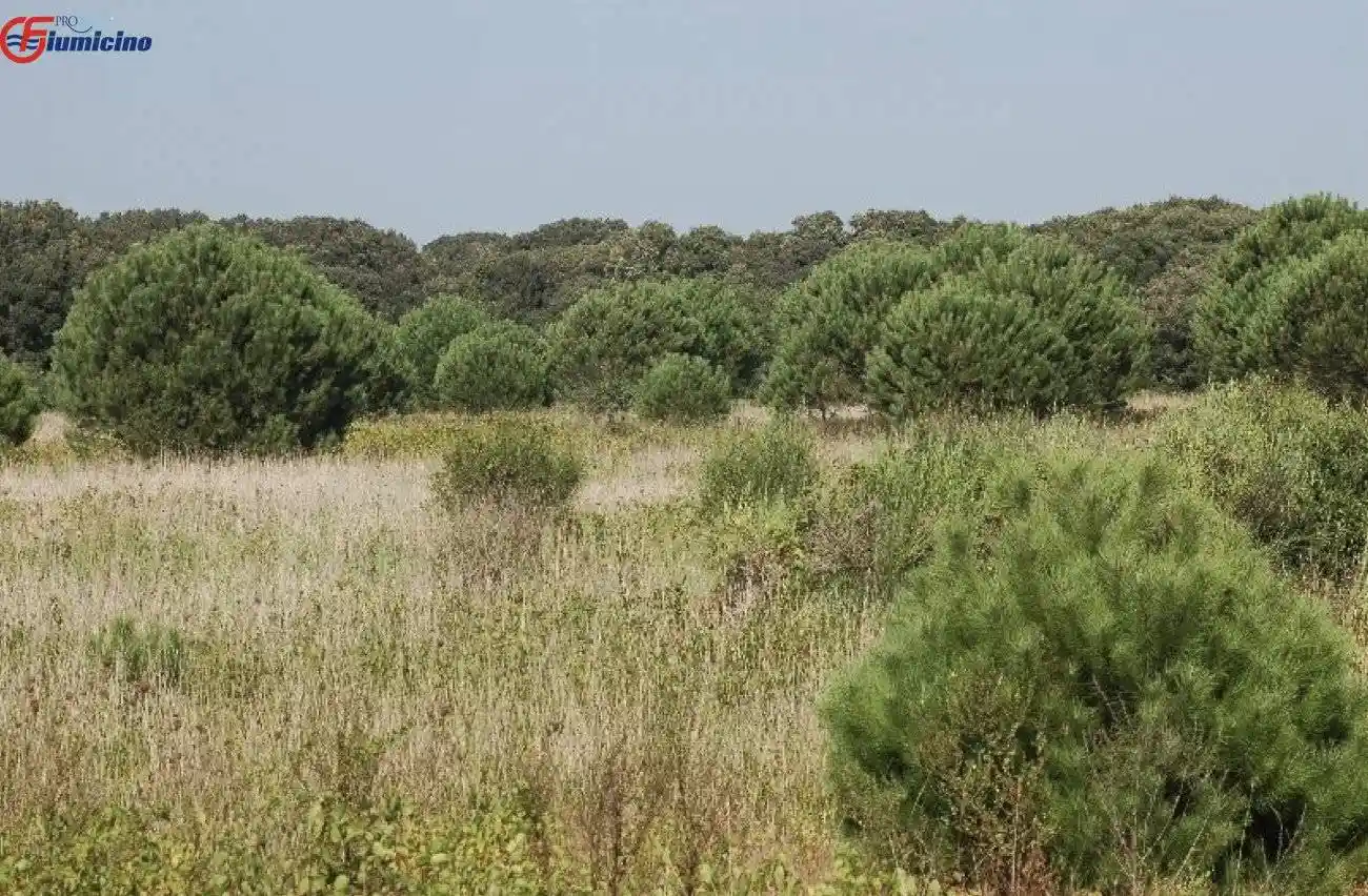 Rustico - Casale in vendita a Fiumicino
