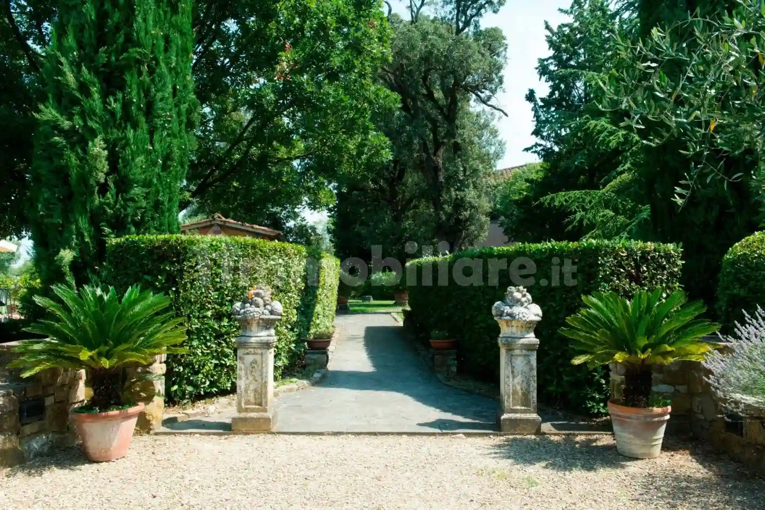 Palazzo - Edificio - foto 5