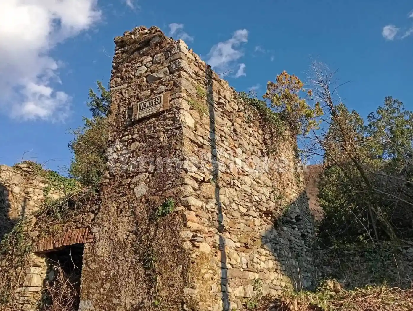 Rustico - Casale in vendita a Dumenza