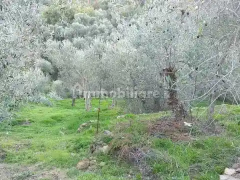 Rustico - Casale in vendita a Costarainera