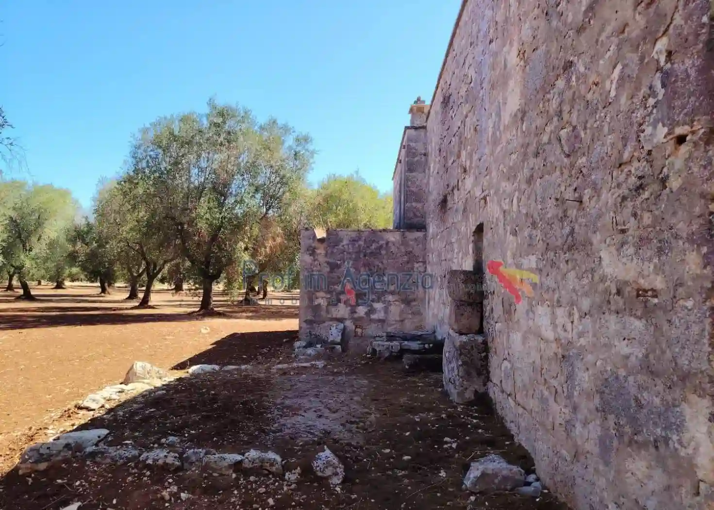 Rustico - Casale - foto 5