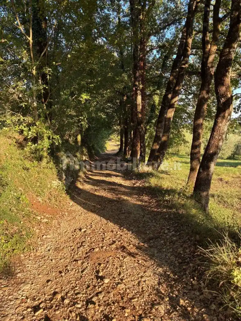 Rustico - Casale in vendita a Veroli