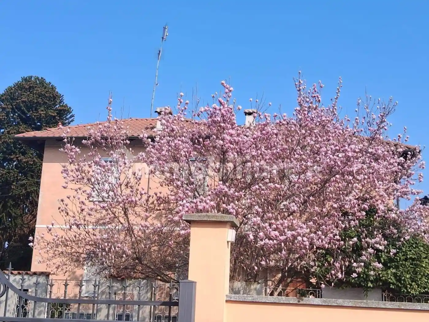 Villa in vendita a Carpignano Sesia