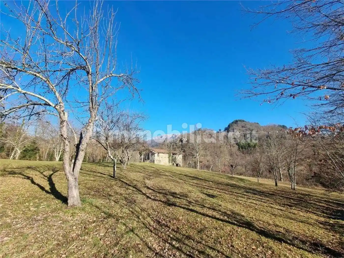 Rustico - Casale in vendita a Camporgiano