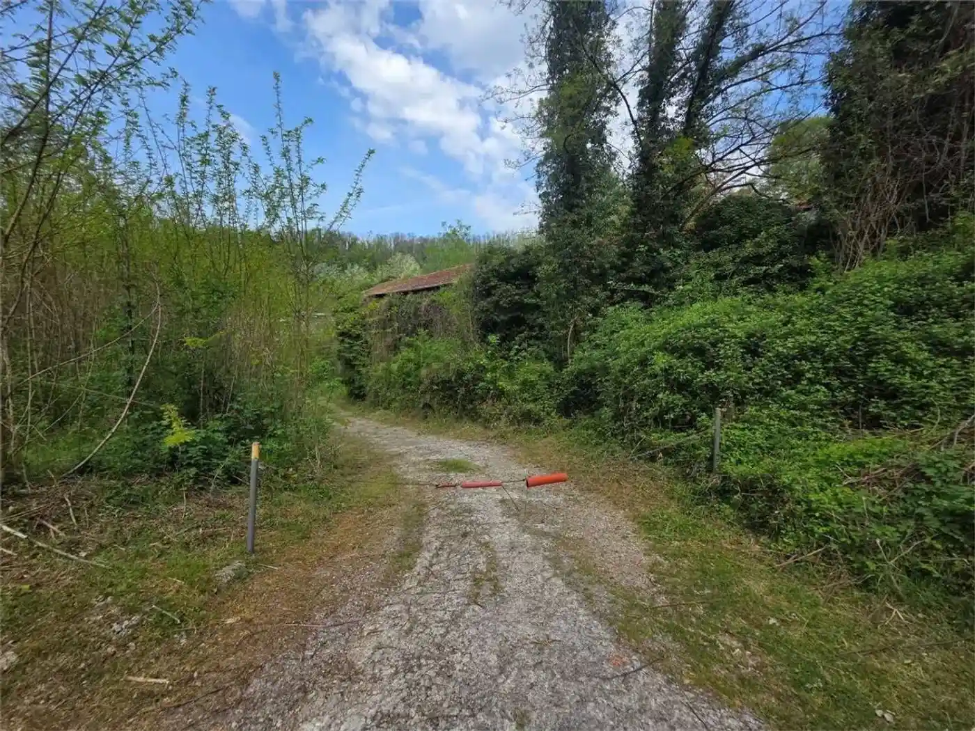 Rustico - Casale in vendita a Castelnuovo di Garfagnana