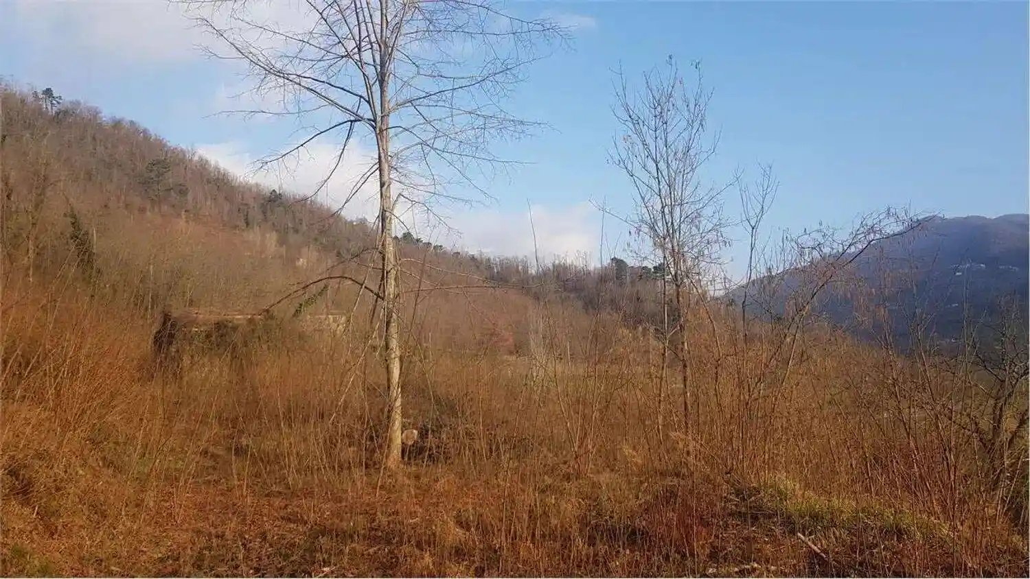 Rustico - Casale in vendita a Gallicano