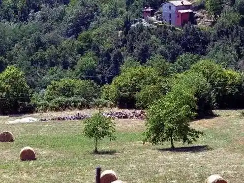Villa in affitto a Villa Collemandina