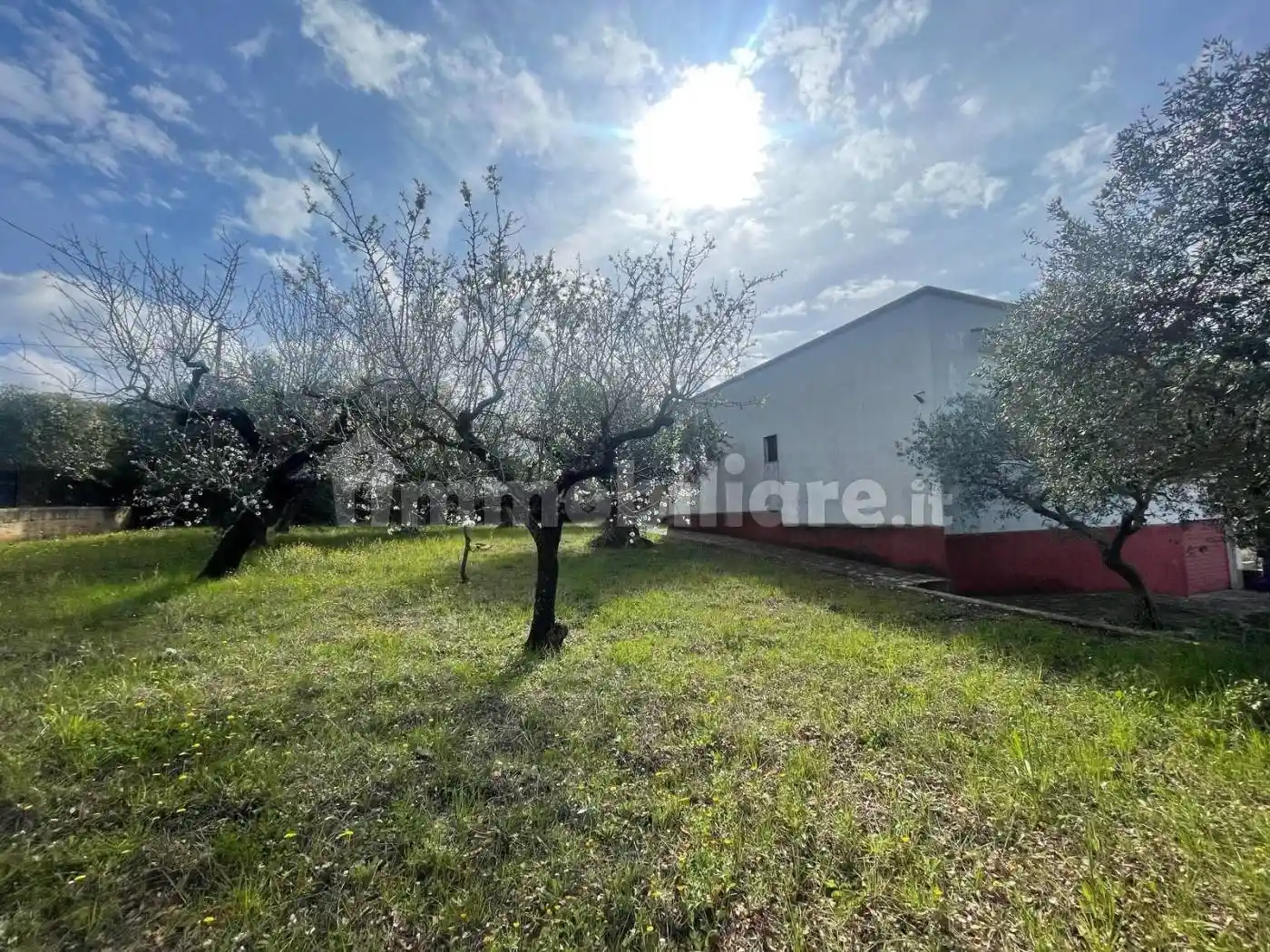 Villa in vendita a Putignano