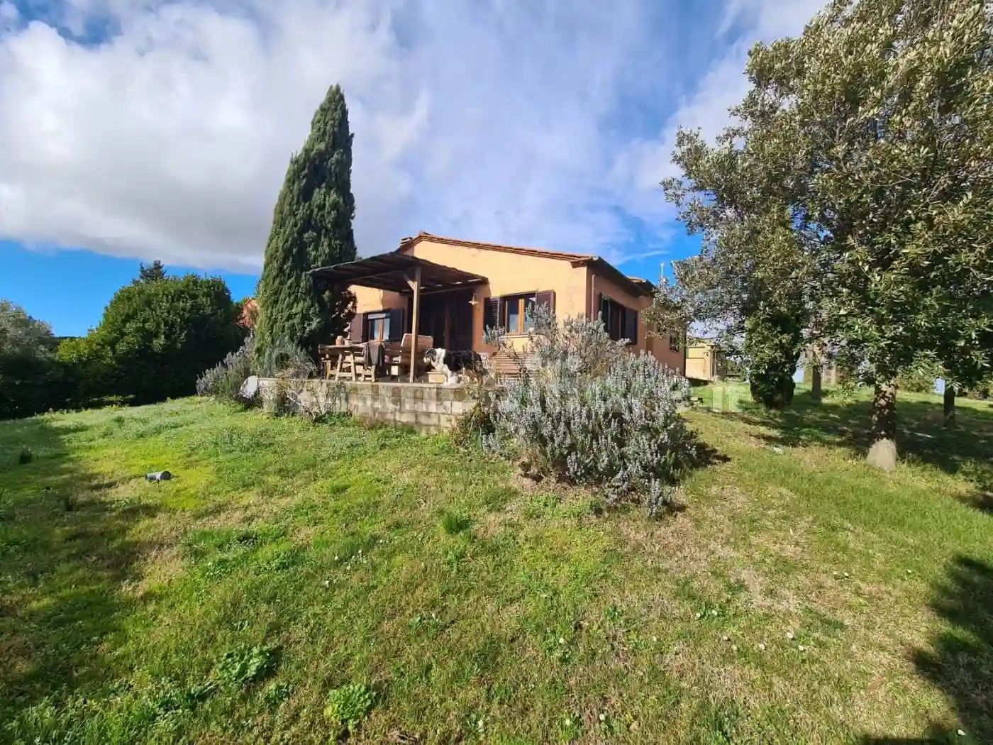 Villa - foto 4