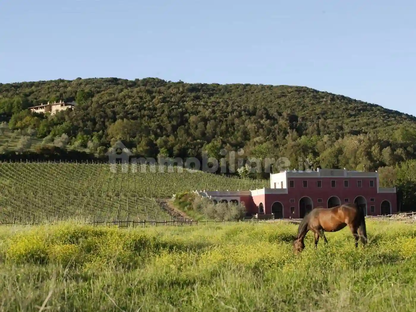 Rustico - Casale - foto 2