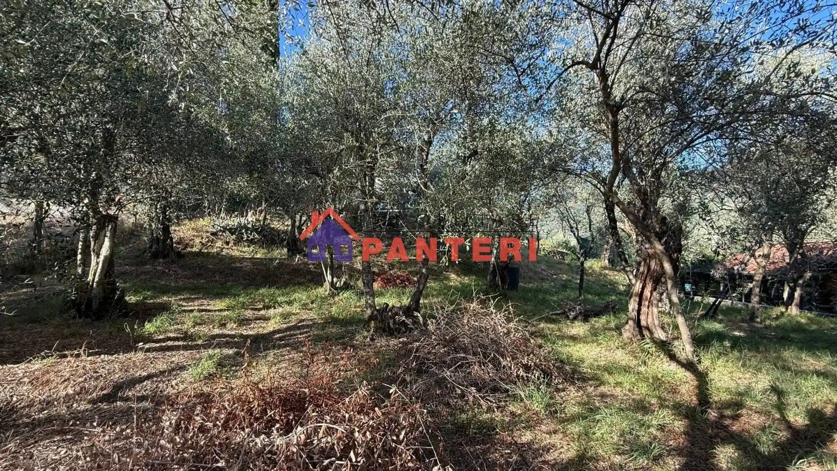 Casa indipendente in vendita a Pescia