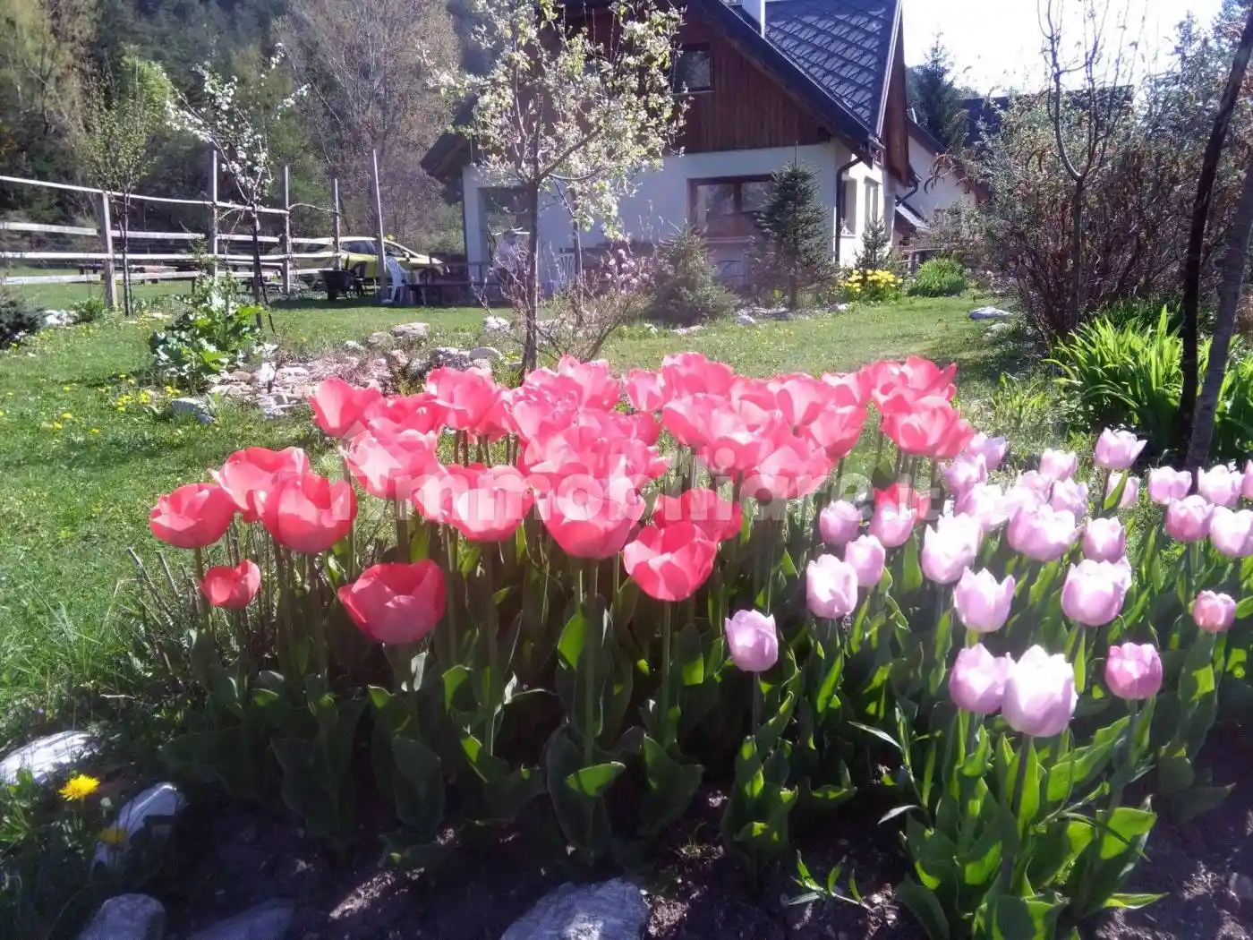 Casa indipendente in vendita a Malborghetto Valbruna