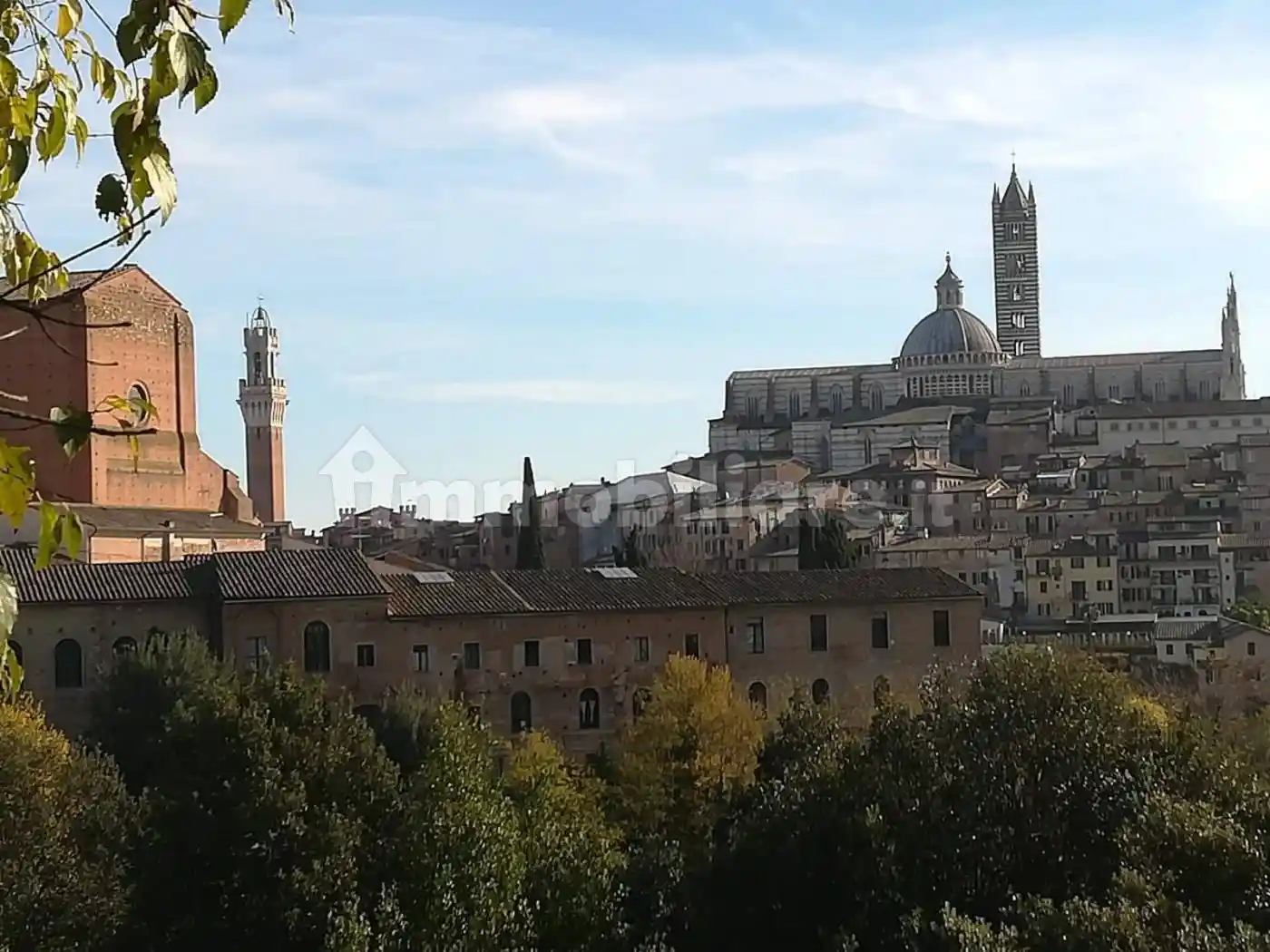 Appartamento in affitto a Siena