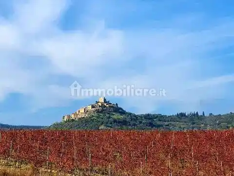 Rustico - Casale in vendita a Roccastrada