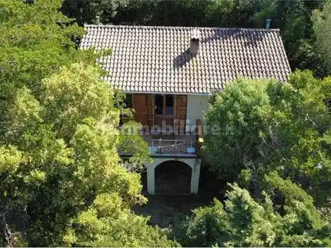 Rustico - Casale in vendita a Castagneto Carducci
