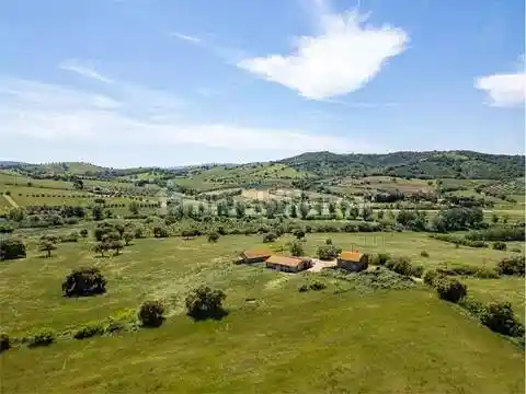 Rustico - Casale in vendita a Grosseto